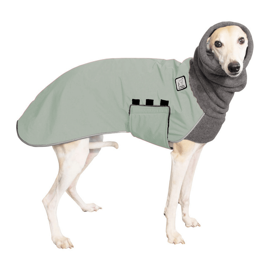 Whippet Winter Coat