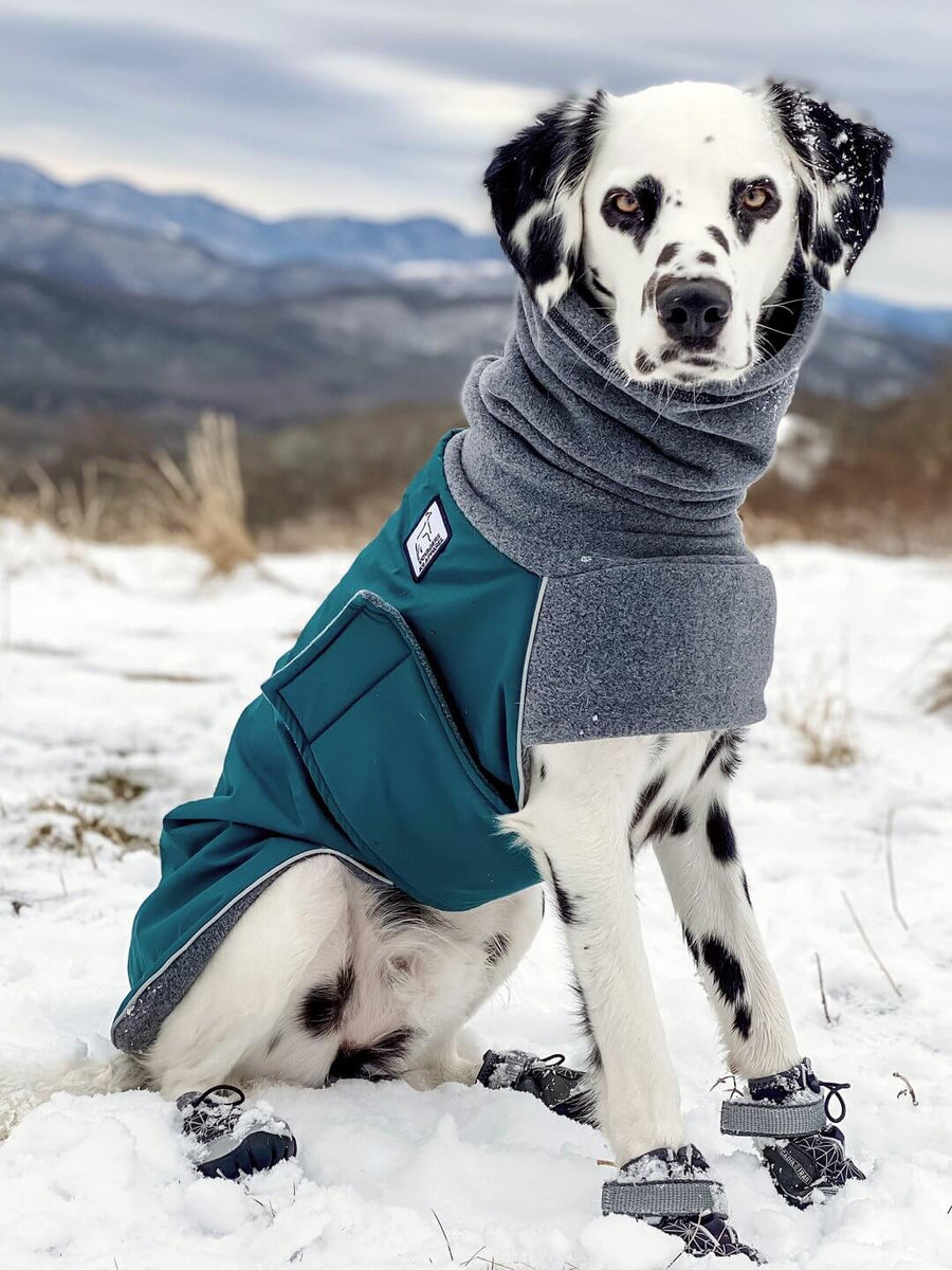 Great Dane Warm Winter Dog Coat – Voyagers K9 Apparel