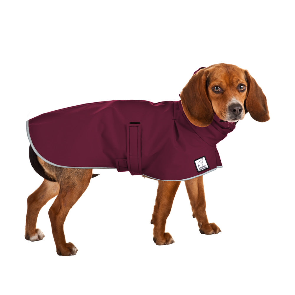 Beagle Raincoat