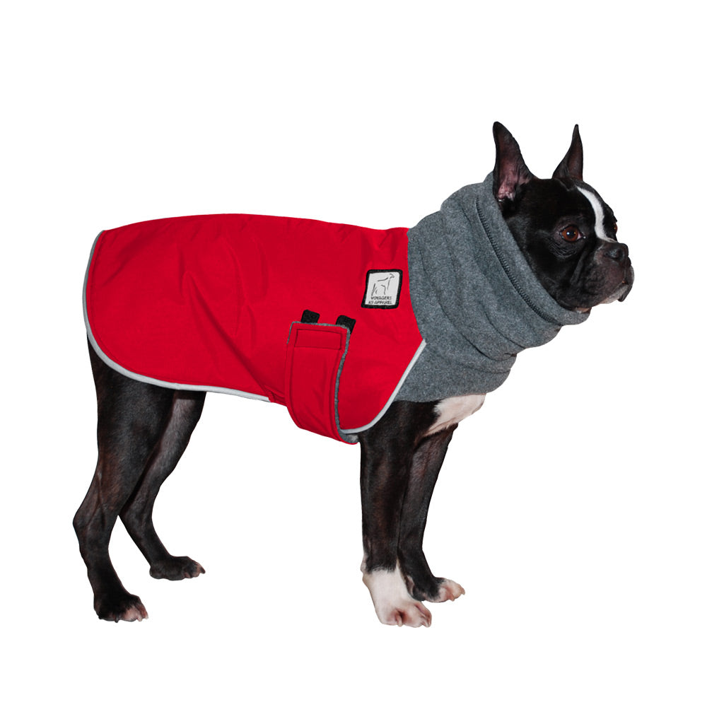 ReCoat Good: Boston Terrier Winter Coat