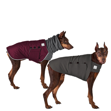 Doberman Rover Bundle