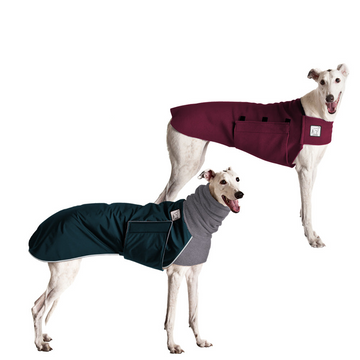 Greyhound Rover Bundle