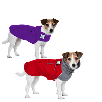 Jack Russell Terrier Rover Bundle