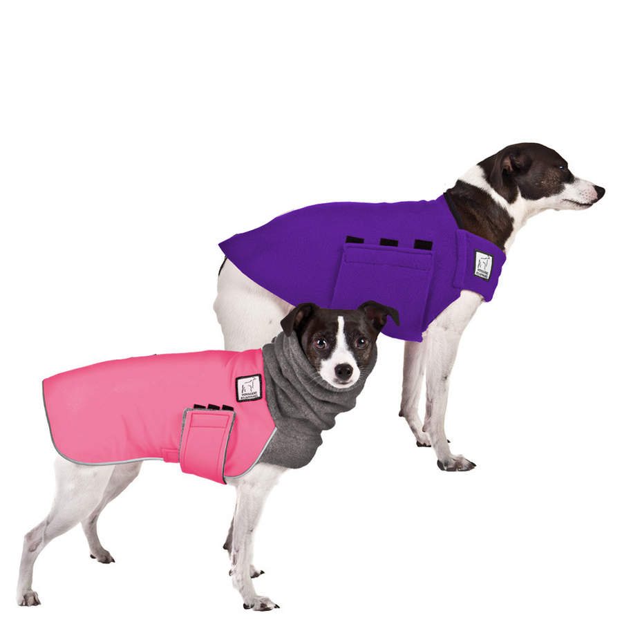 Rat Terrier Rover Bundle