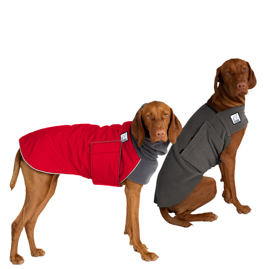 Vizsla Rover Bundle