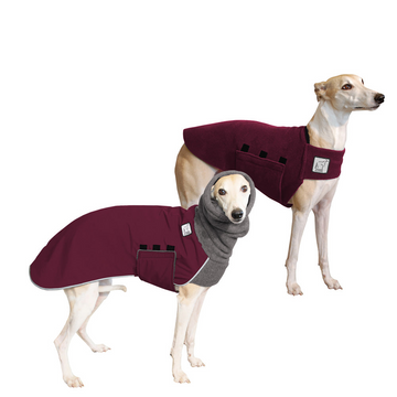 Whippet Rover Bundle