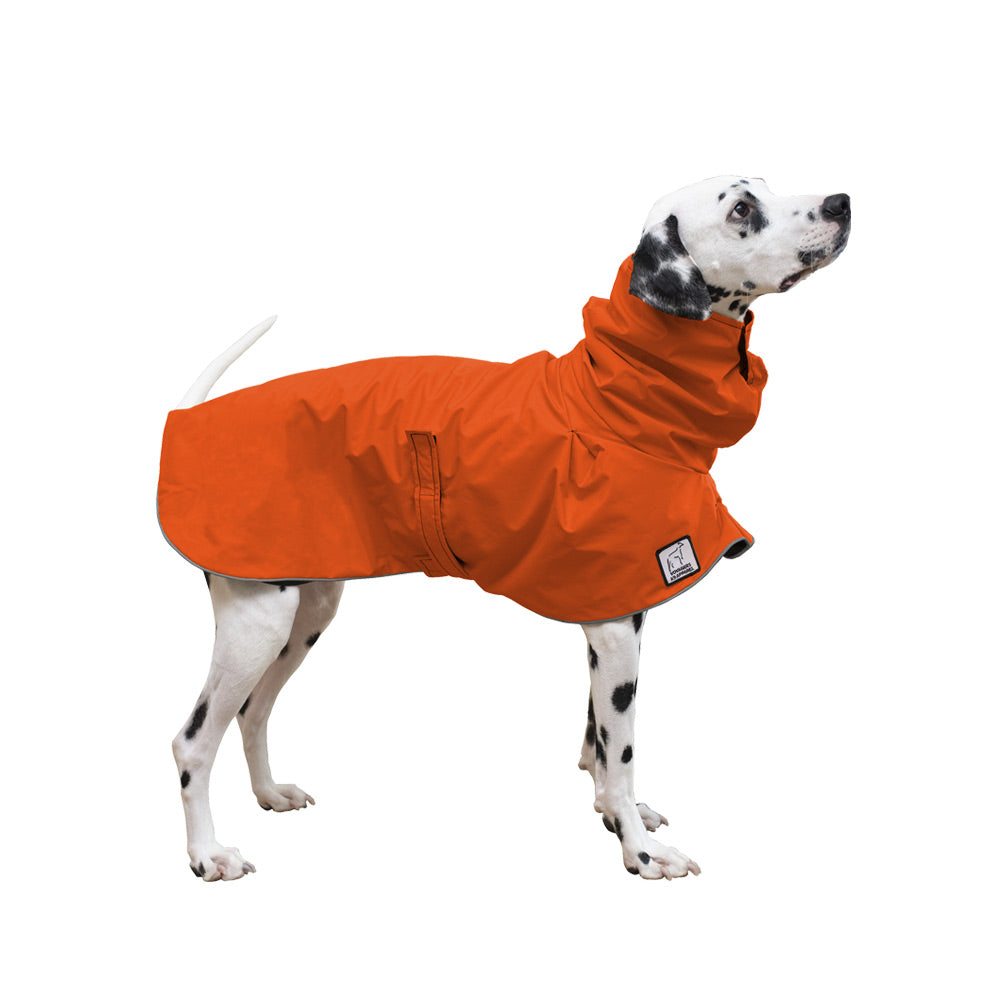 Dalmatian Raincoat