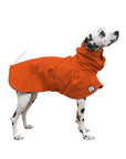 Dalmatian Raincoat