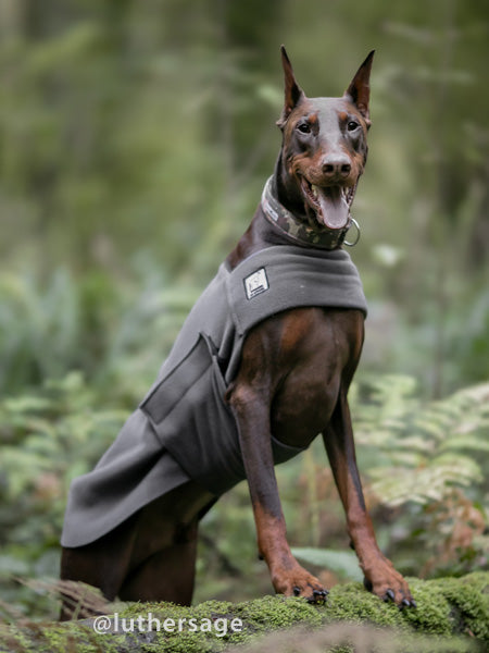Amazon Doberman Dog Jacket Doberman Winter Clothes I Found This