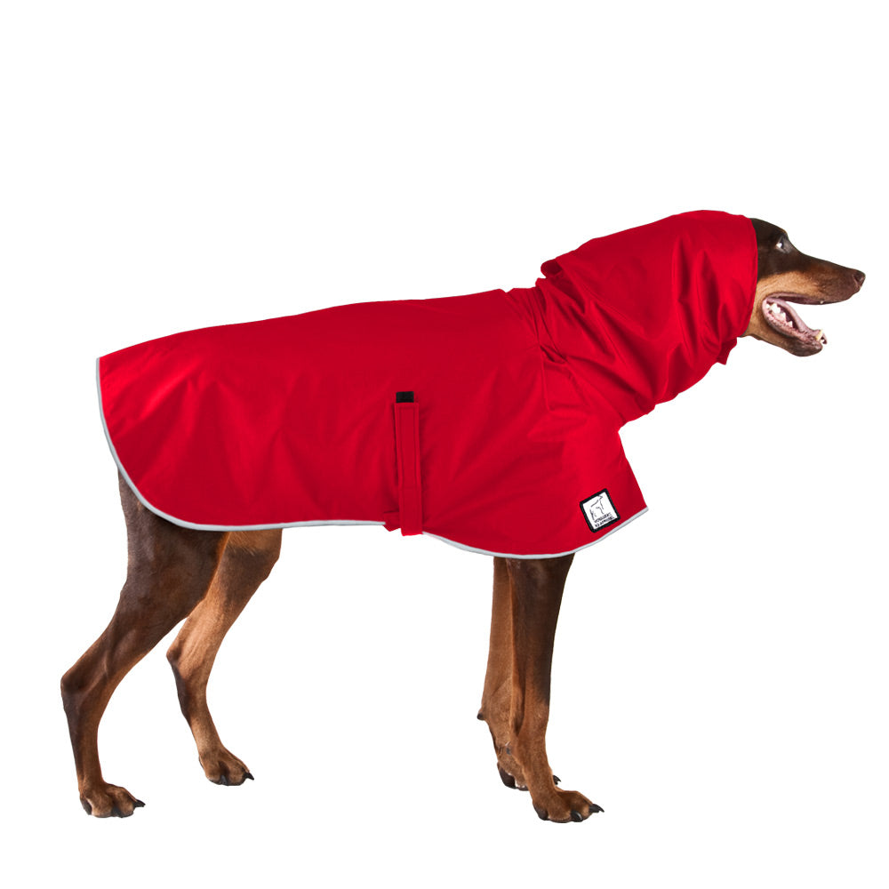 Doberman Pinscher Raincoat