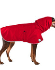 Doberman Pinscher Raincoat