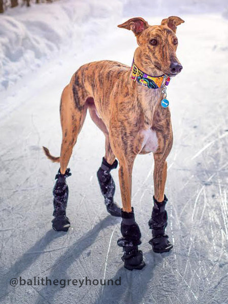 Voyagers K9 Apparel Slipper Style Winter Dog Booties