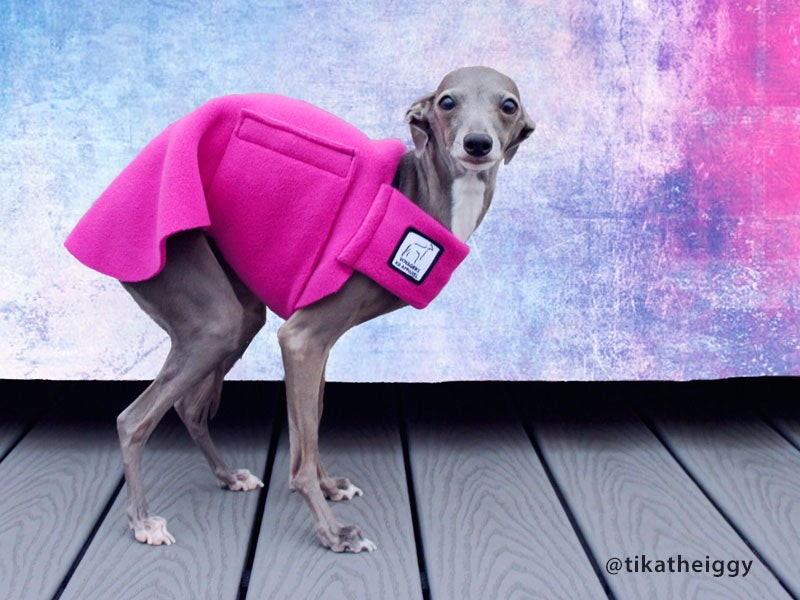 Italian greyhound clearance sweaters