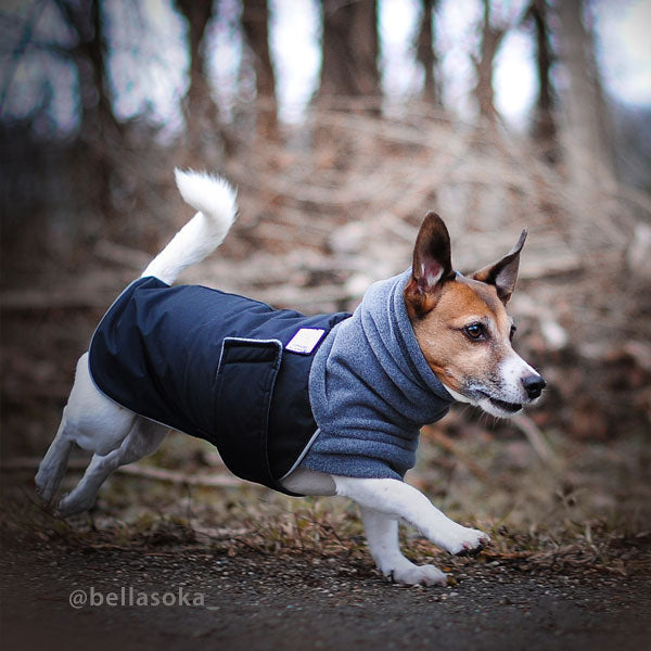 Jack hot sale russell jacket