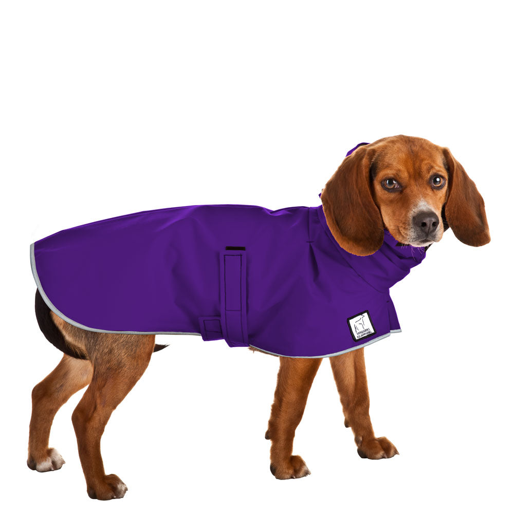 Beagle Raincoat