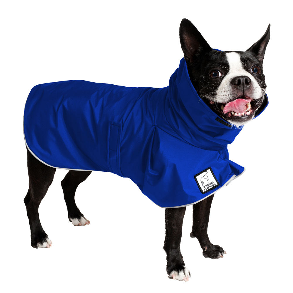 Boston Terrier Raincoat