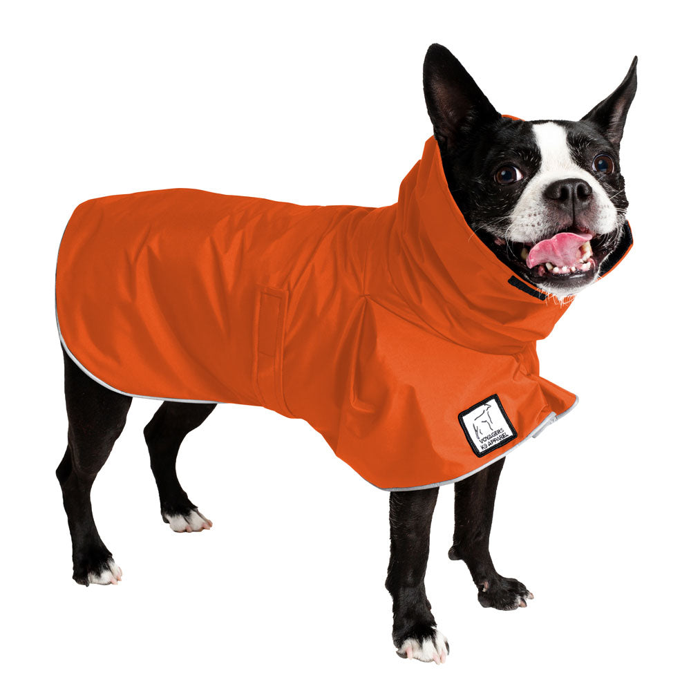 Boston Terrier Raincoat
