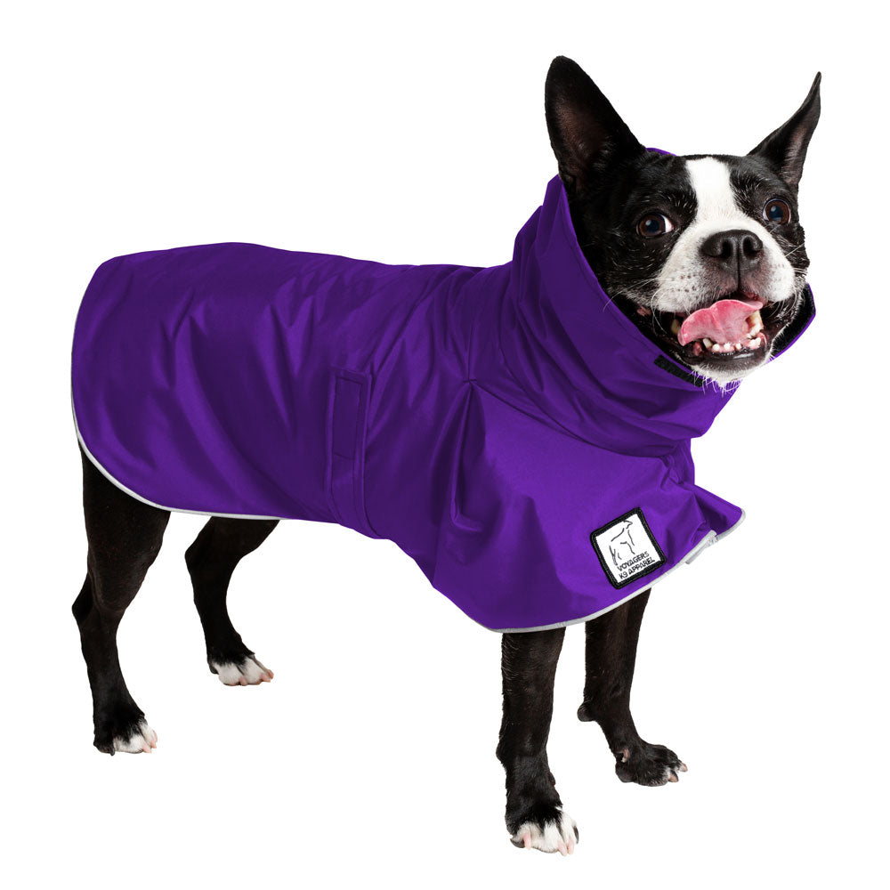 Boston Terrier Raincoat