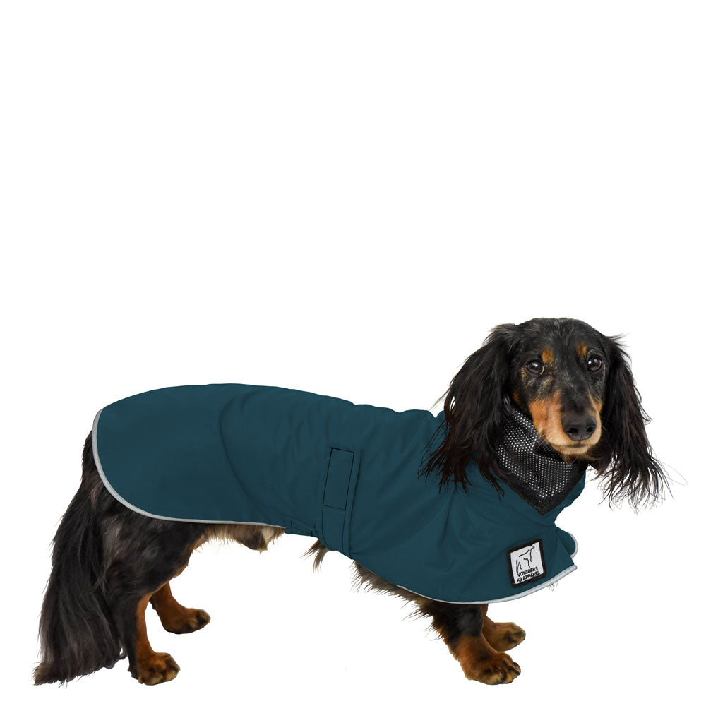 Dachshund Rain Coat (Dark Teal) - Voyagers K9 Apparel