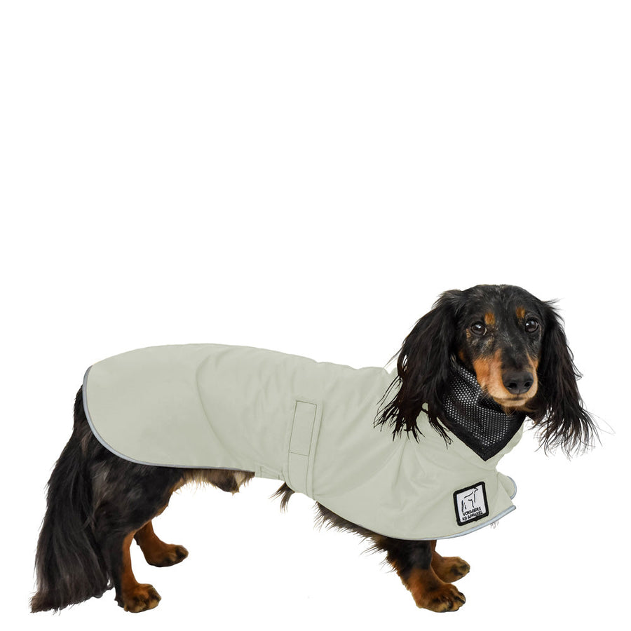 ReCoat ♻️ Dachshund Raincoat with Harness Opening