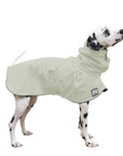 Dalmatian Raincoat