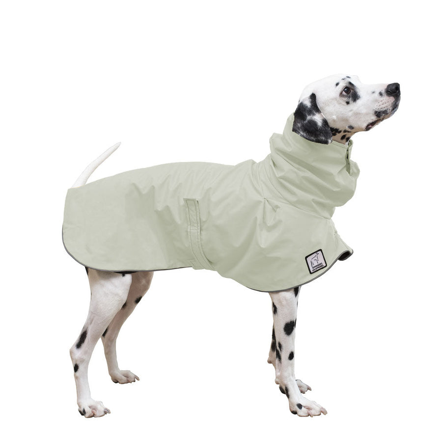 Dalmatian Raincoat