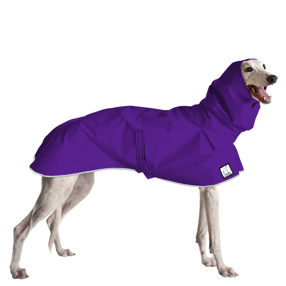 Greyhound Raincoat