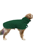 Golden Retriever Raincoat