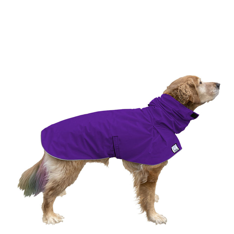 ReCoat ♻️ Golden Retriever Raincoat