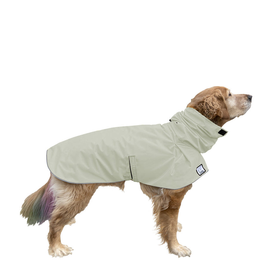 Golden Retriever Raincoat