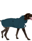 German Shorthaired Pointer Rain Coat (Dark Teal)- Voyagers K9 Apparel