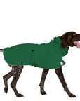 German Shorthaired Pointer Raincoat