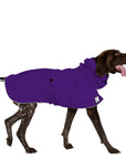 ReCoat ♻️ German Shorthaired Pointer Raincoat