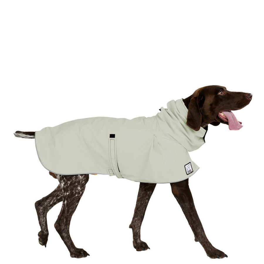 German Shorthaired Pointer Raincoat