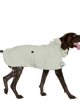 ReCoat ♻️ German Shorthaired Pointer Raincoat with Harness Opening