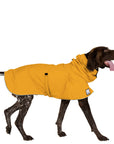 German Shorthaired Pointer Rain Coat (Yellow)- Voyagers K9 Apparel