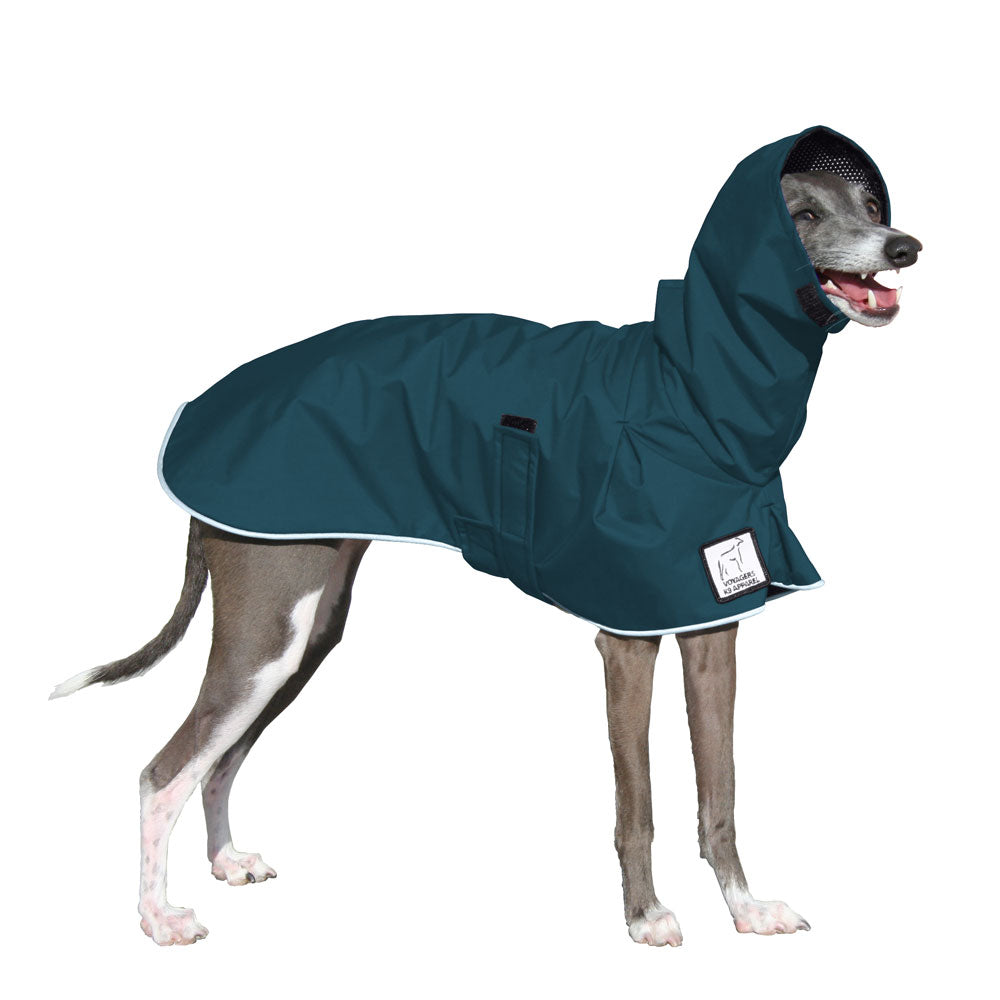 Italian Greyhound Rain Coat (Dark Teal) - Voyagers K9 Apparel