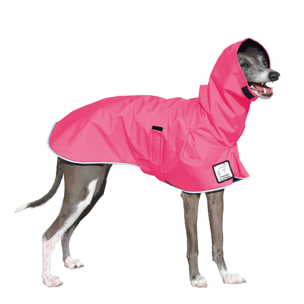 Italian Greyhound Raincoat