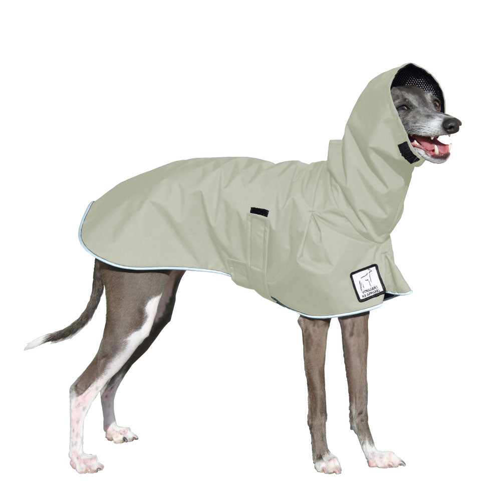 Italian Greyhound Raincoat