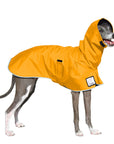 Italian Greyhound Rain Coat (Yellow) - Voyagers K9 Apparel