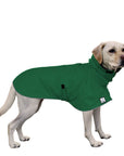 Labrador Retriever Raincoat