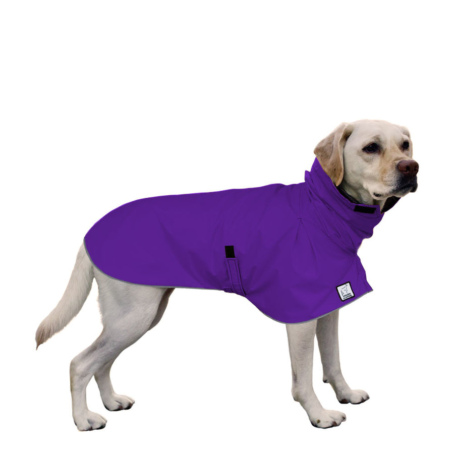 Labrador Retriever Raincoat
