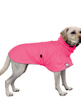 Labrador Retriever Raincoat