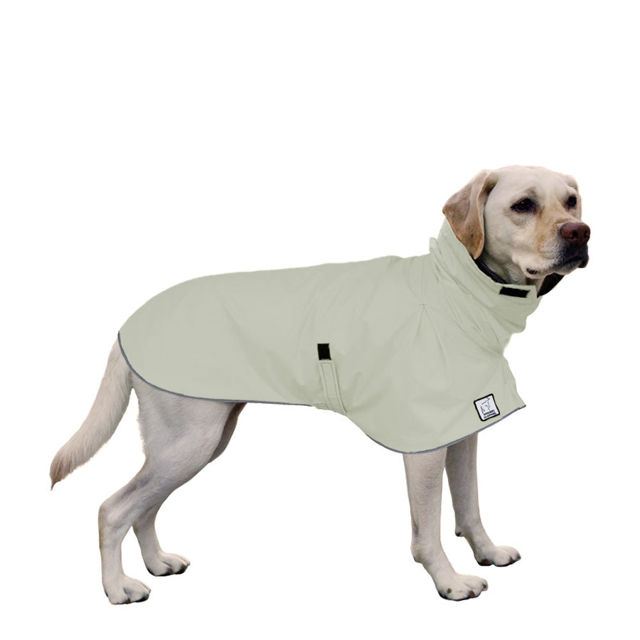 Labrador Retriever Raincoat