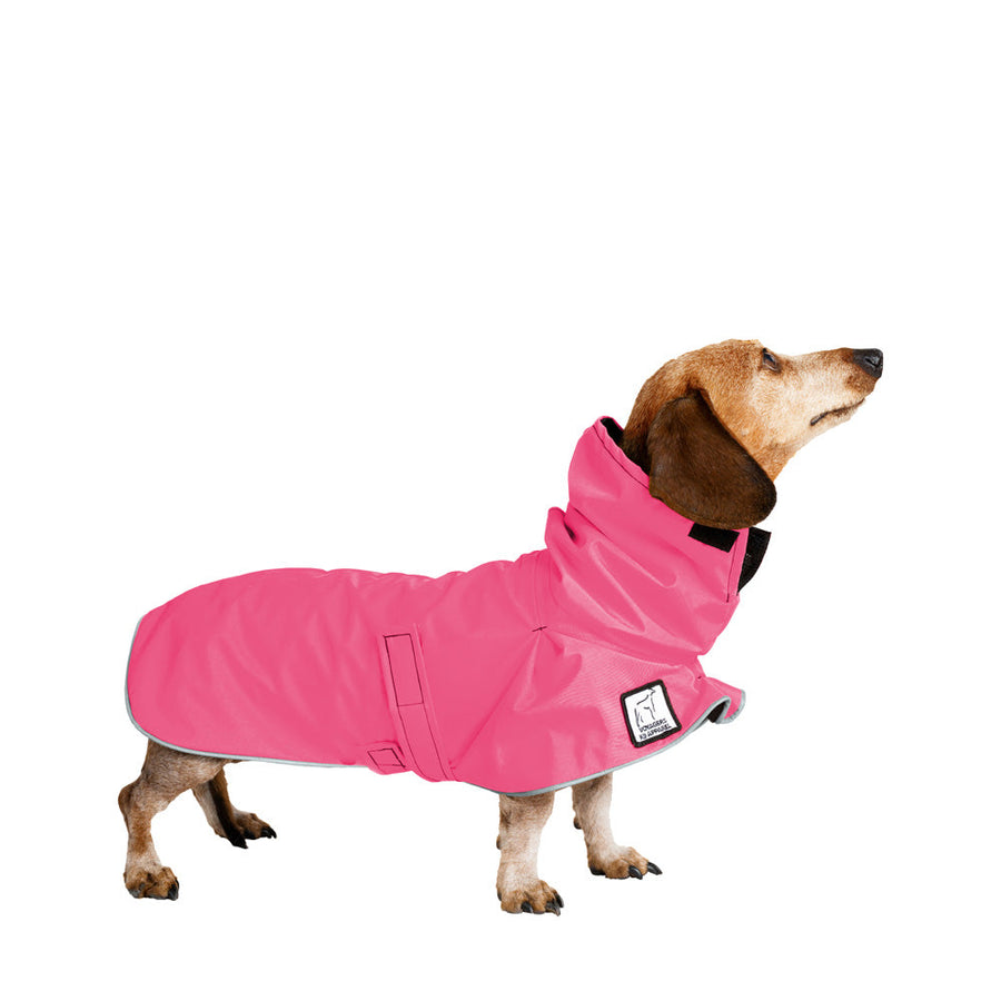 Raincoat for miniature dachshund best sale