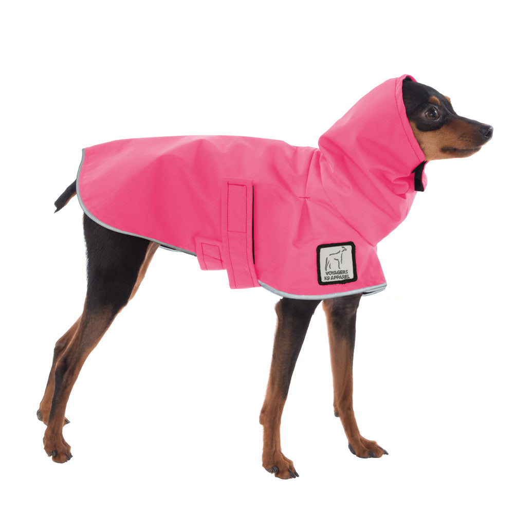 Miniature Pinscher Raincoat