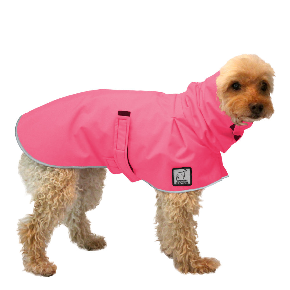 Miniature Poodle Raincoat