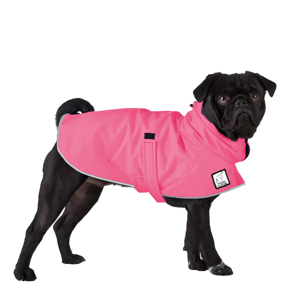 Pug Raincoat