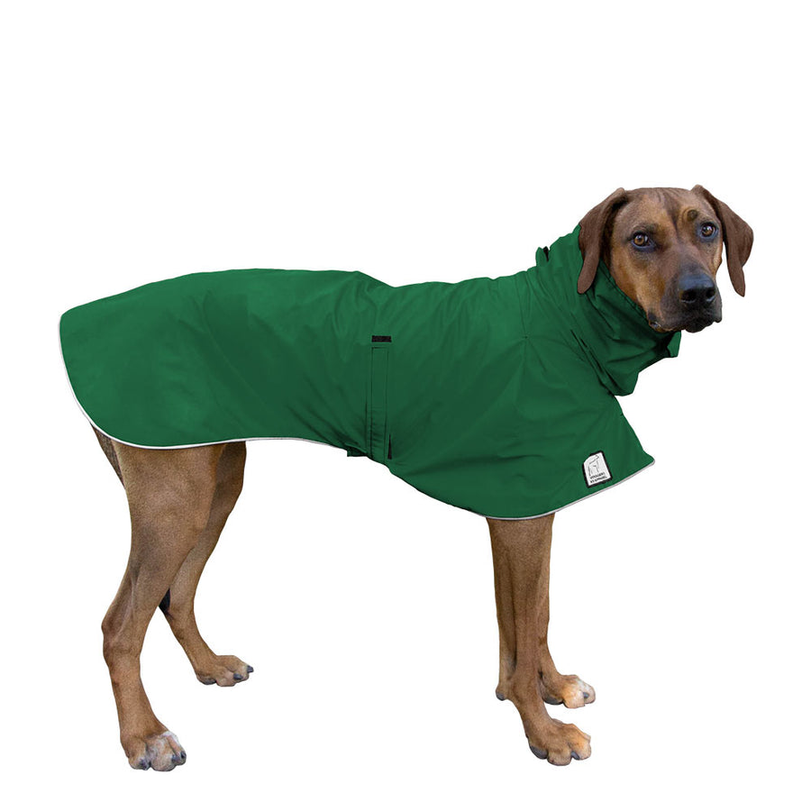 Rhodesian Ridgeback Raincoat