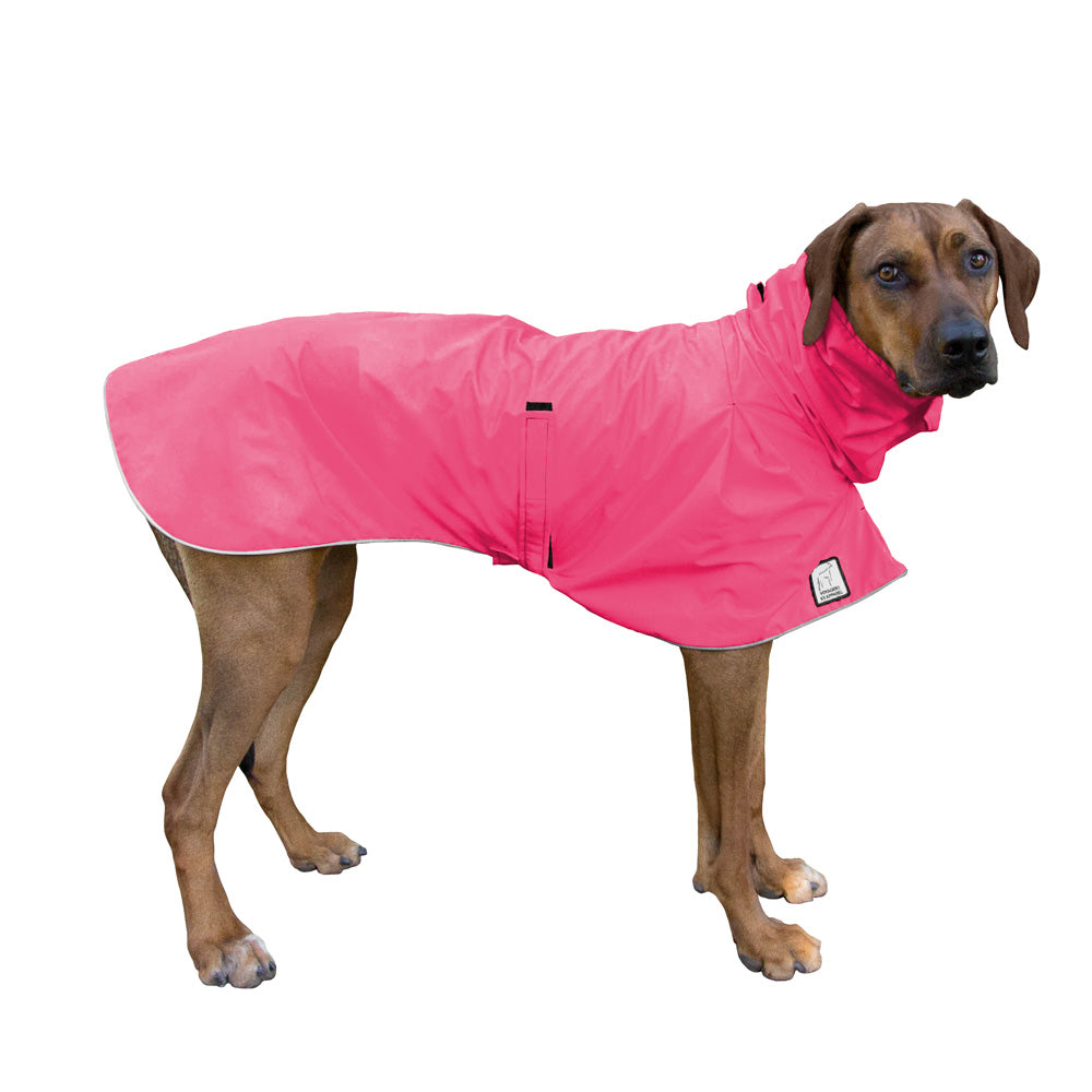 Rhodesian Ridgeback Raincoat